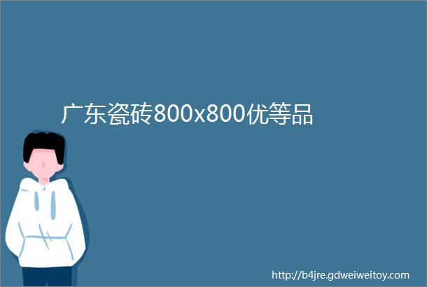 广东瓷砖800x800优等品